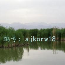 Ŀ