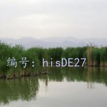 ѧϰ